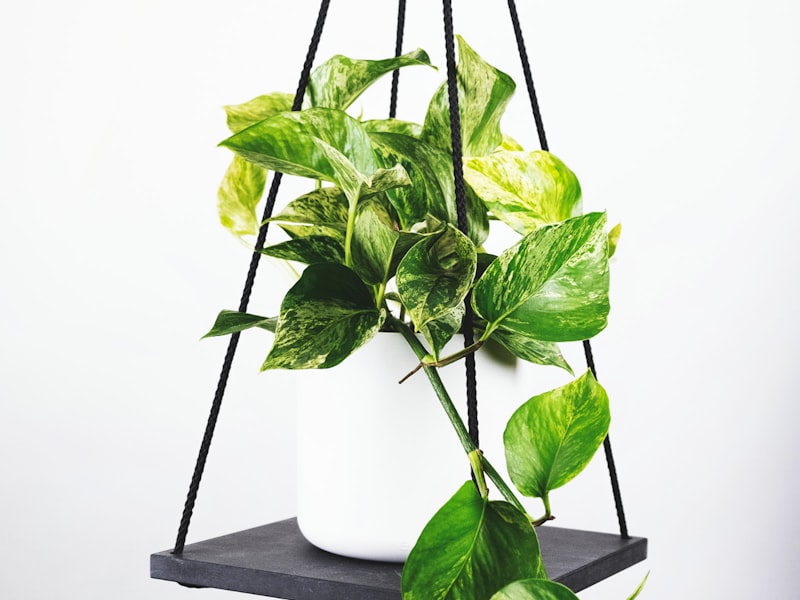 2026年世界杯淘汰赛阶段激烈比赛瞬间