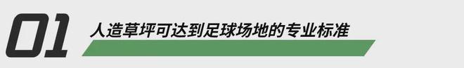 天博为什么人造草坪是专业足球场的首选？(图2)