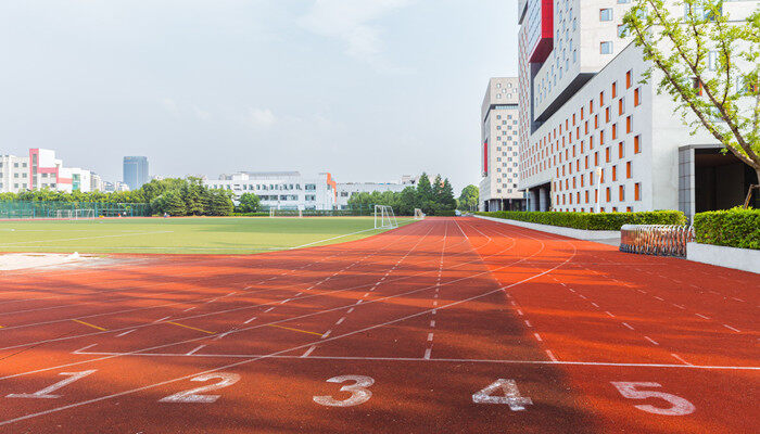 天博专业足球场用什么草坪(图2)