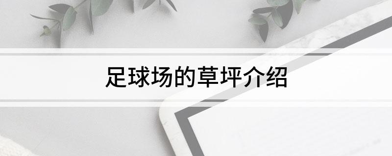 天博足球场的草坪介绍(图1)