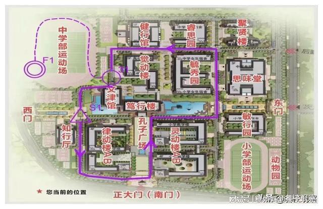 天博自贡衡川200余名教职工奋勇向前跑出一道靓丽的风景线(图1)