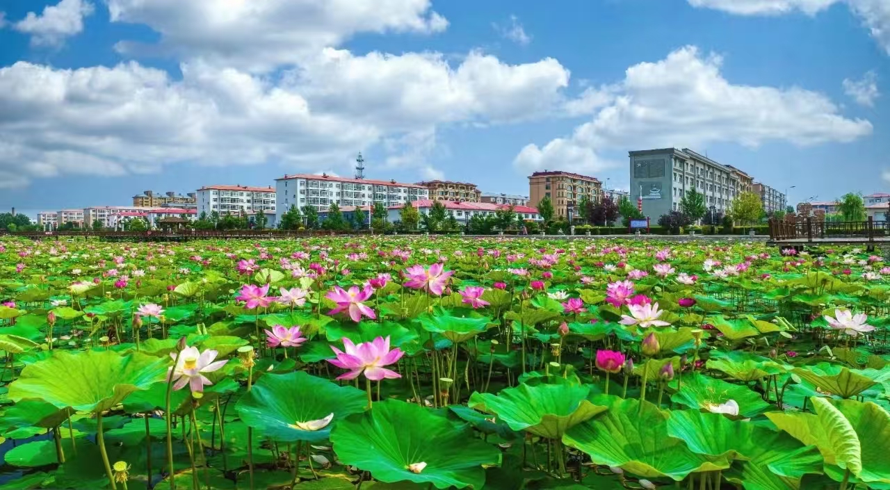 天博群众冷暖放心间 幸福指数节节高(图2)