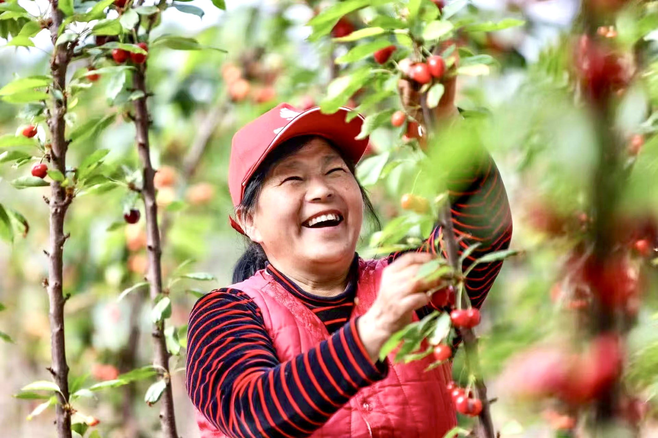 天博平陆不平沟三千久久为功谱新篇(图2)