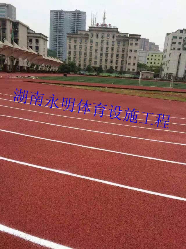 天博学校塑胶跑道 复合型塑胶跑道 运动场地跑道(图2)