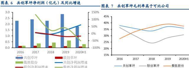 天博全球人造草坪龙头隐形冠军全球市占率第一将打开业绩估值空间(图3)